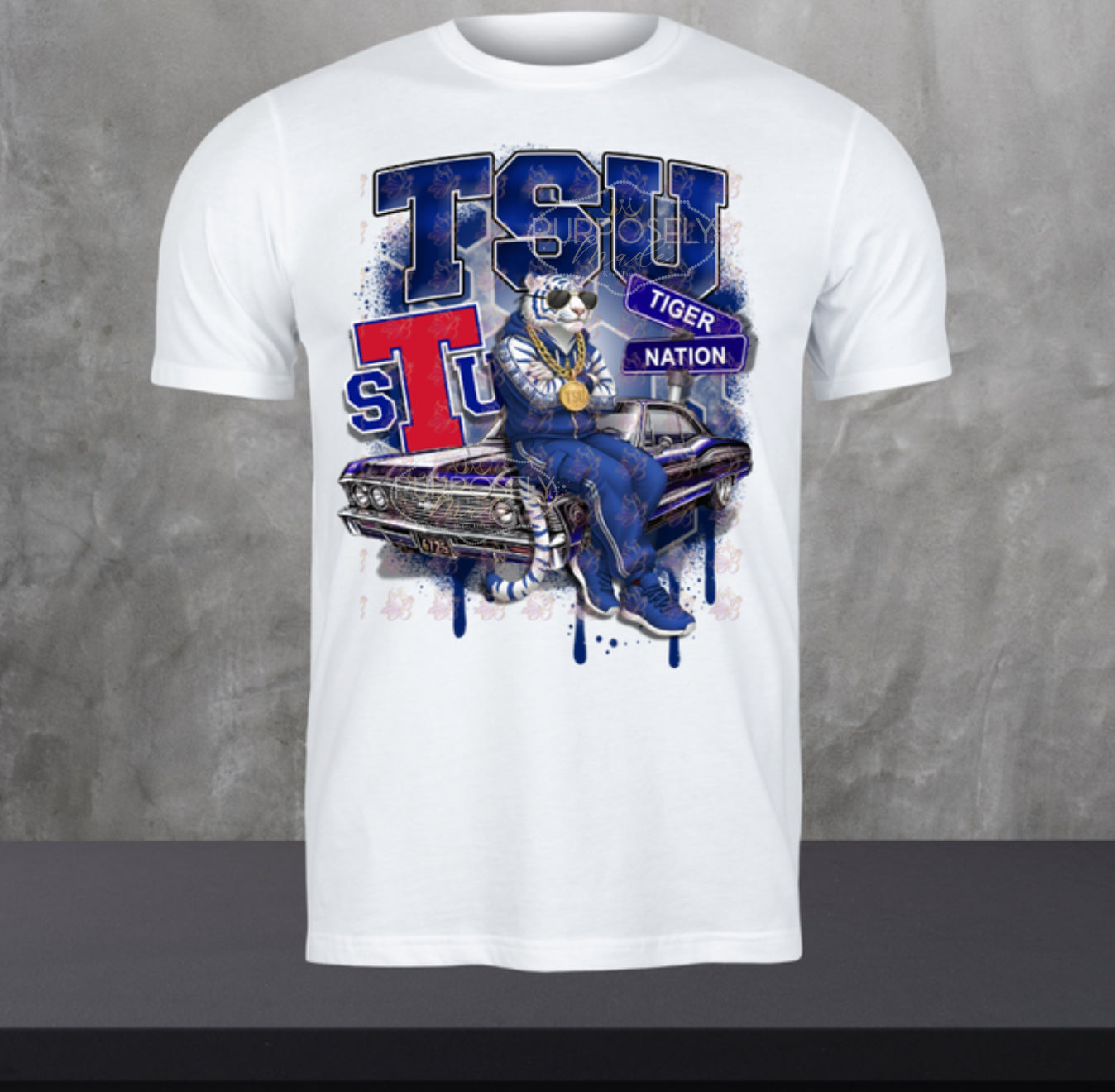 HBCU, TSU, Tennessee State him