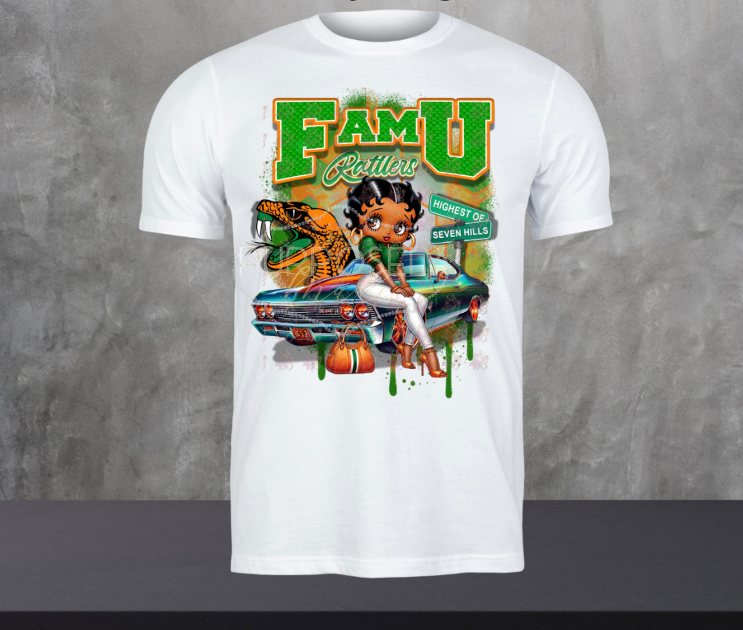 HBCU, FAMU, Florida A&M University, FAMU her