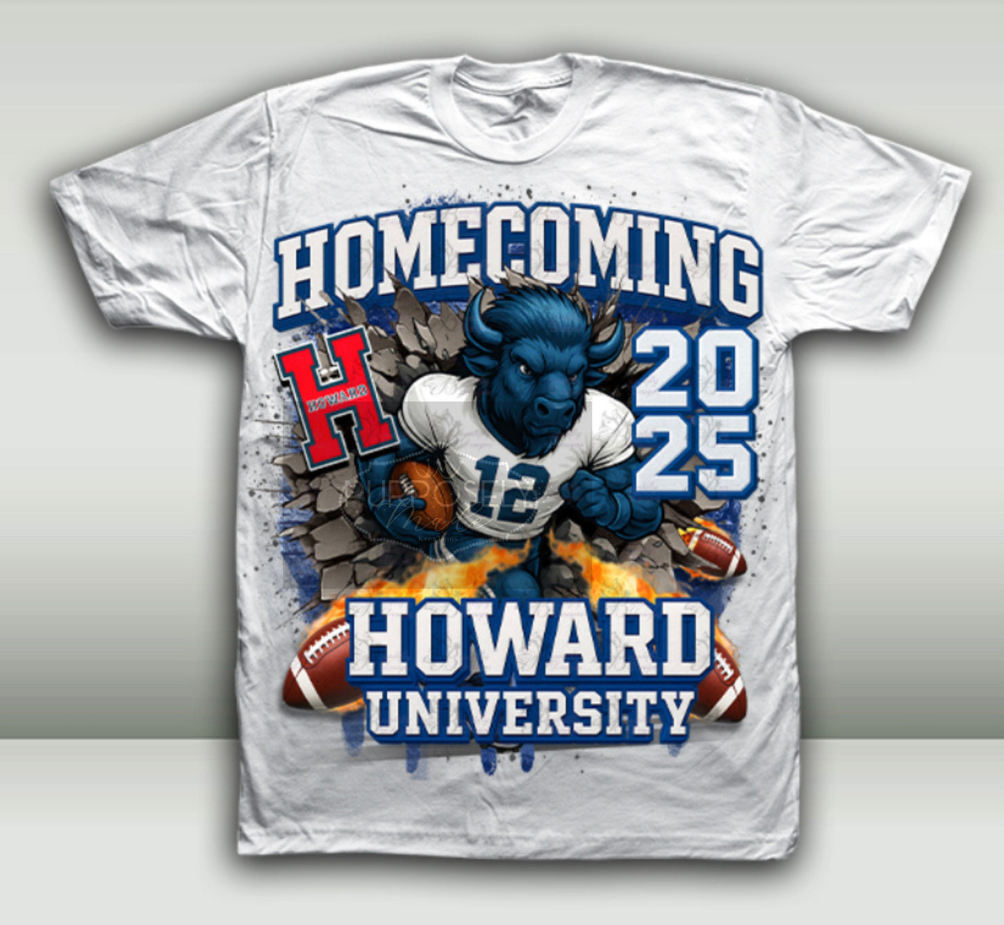 Howard university homecoming