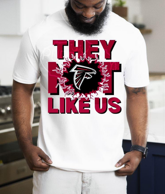 They not like us, falcons