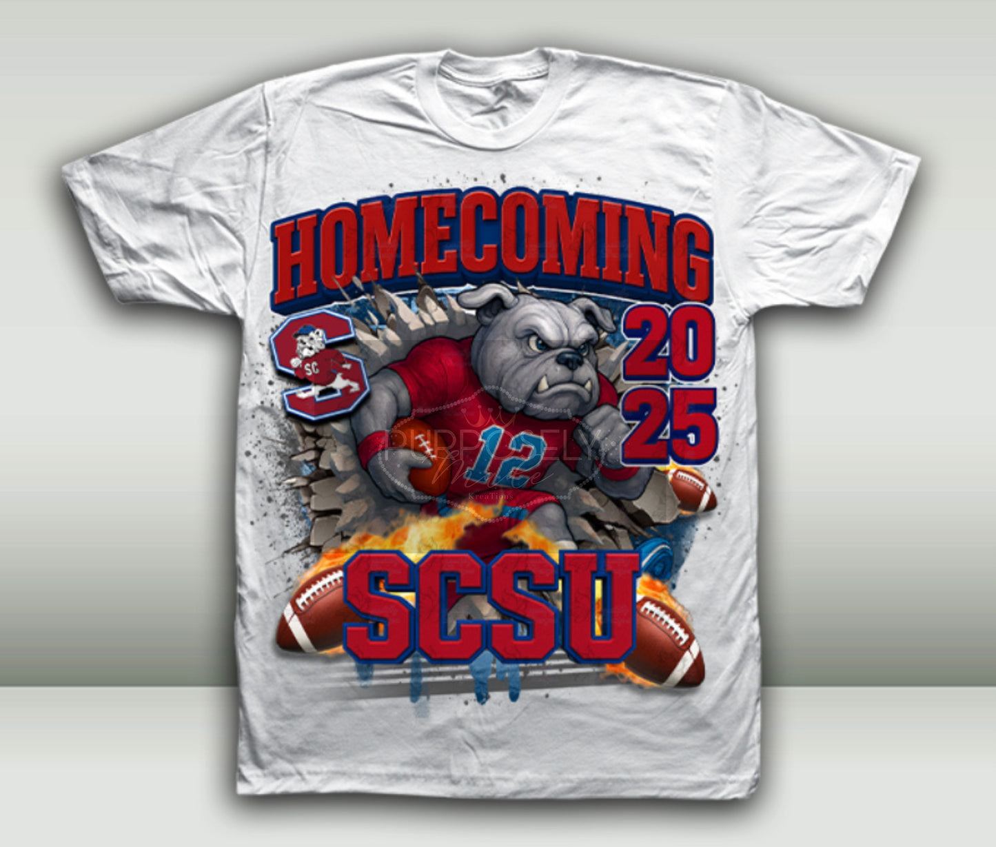 HBCU, South Carolina state university, scsu homecoming