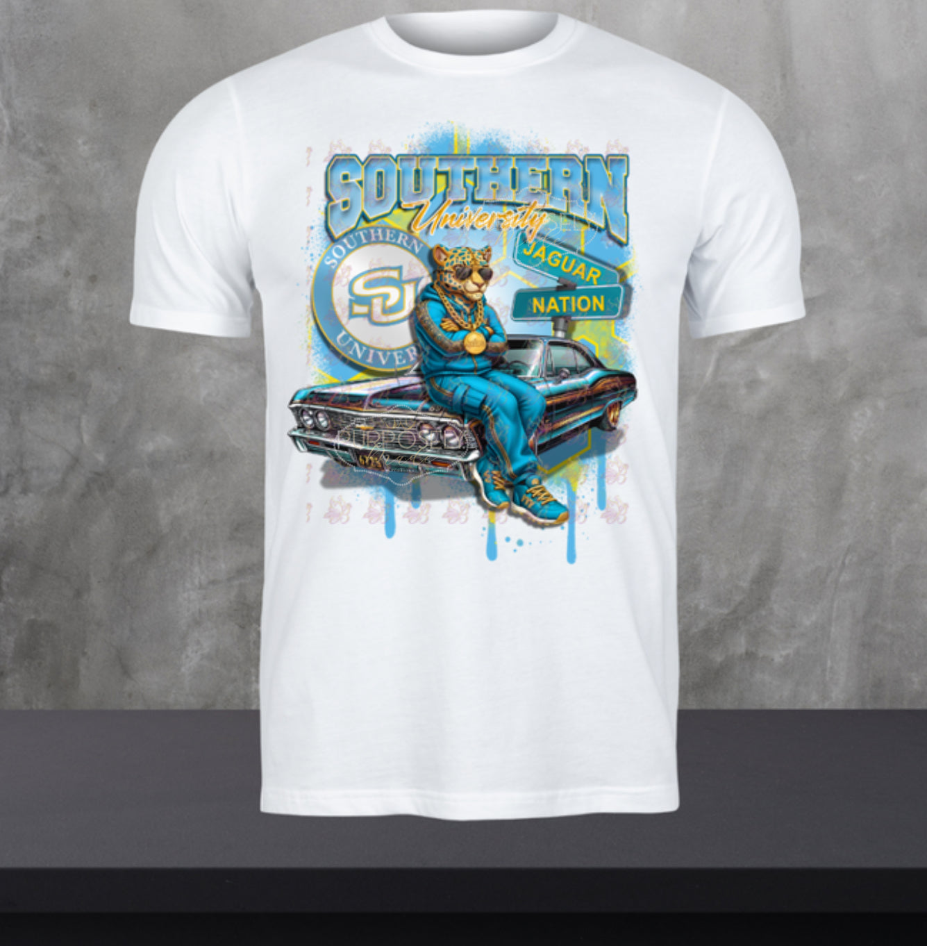 HBCU, Southern Jaguars, southern university him