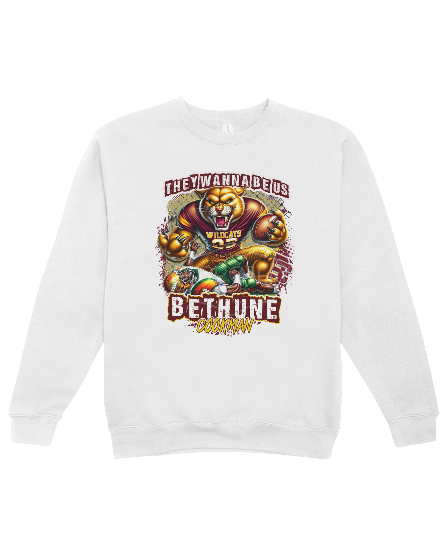 Sweatshirt HBCU, Bethune? They wants to