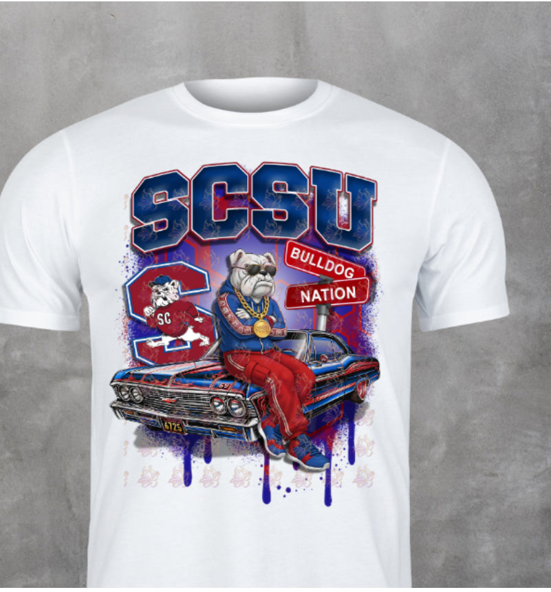 HBCU, South Carolina state university, scsu him