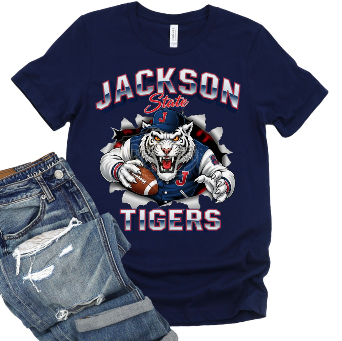 HBCU, Jackson state, JSU, JSU blue out