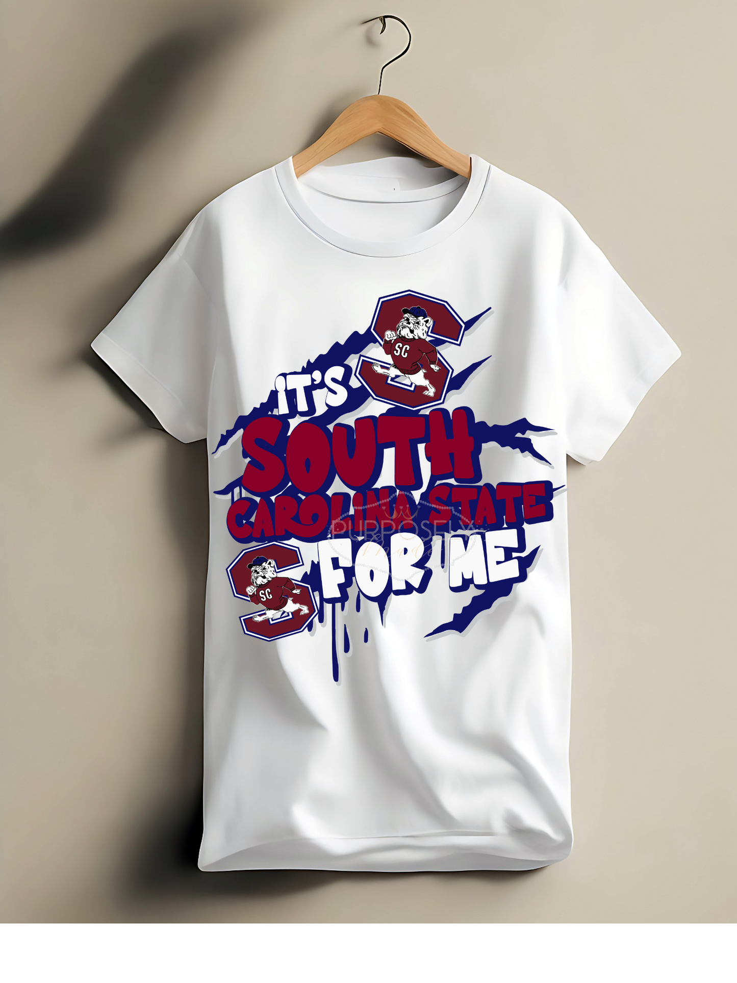 HBCU, South Carolina state university, scsu