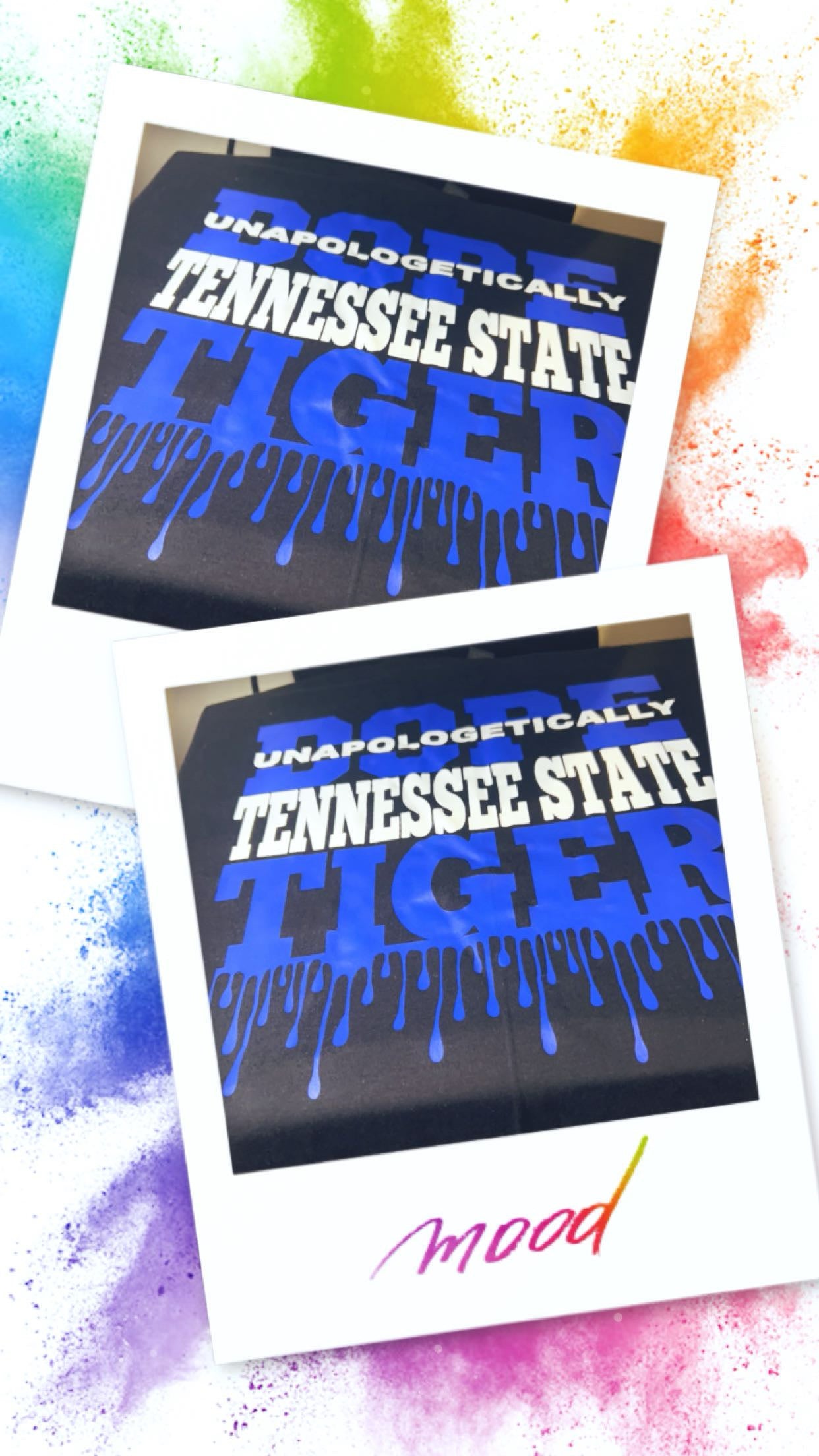 TSU tigers, HBCU vibes, Tennessee state university