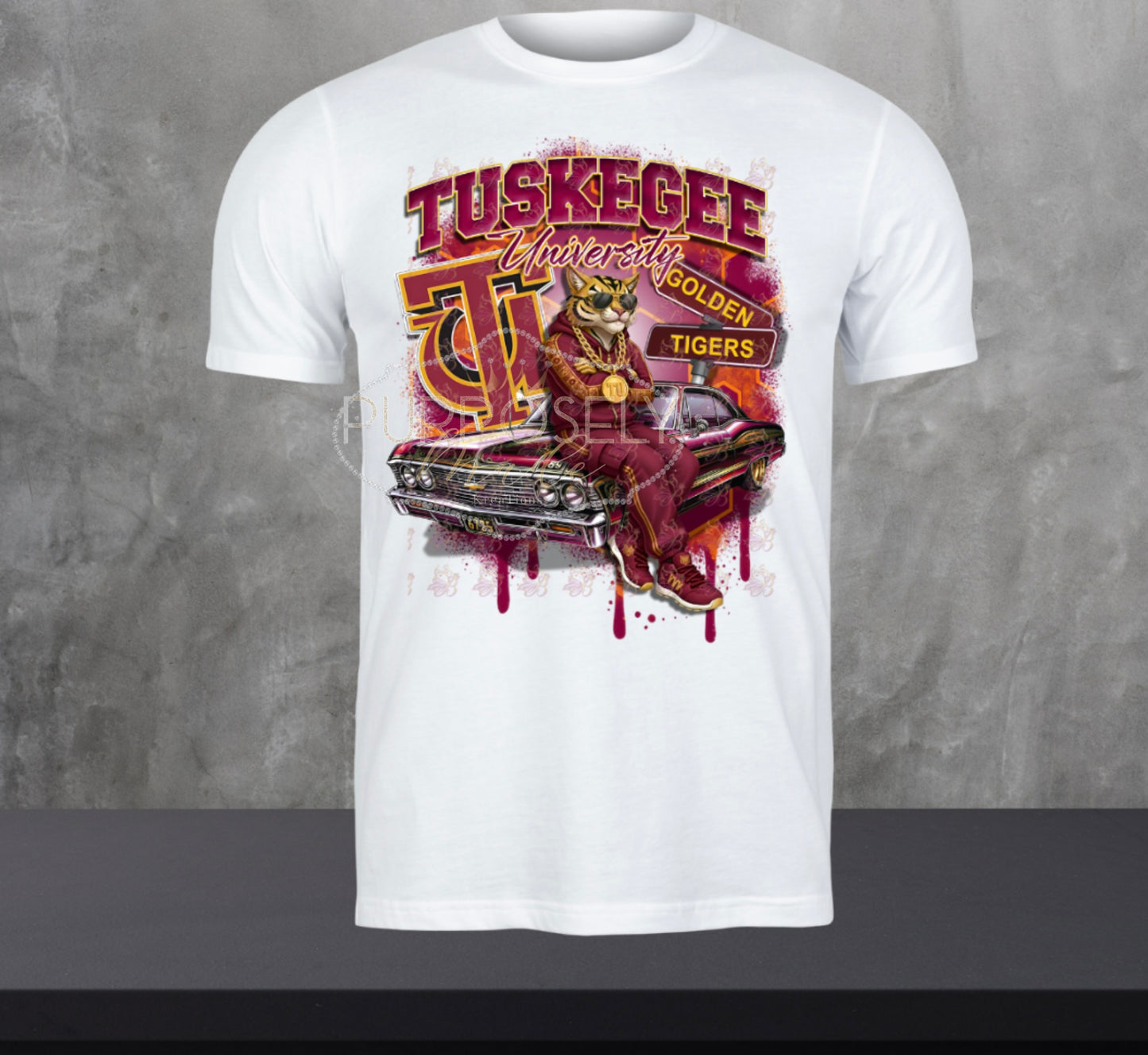 HBCU, Tuskegee State, HBCU him