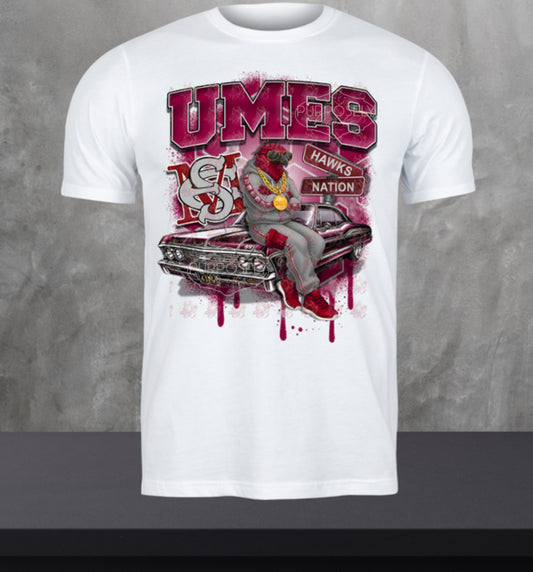 HBCU, University of maryland Eastern Shore, umes him