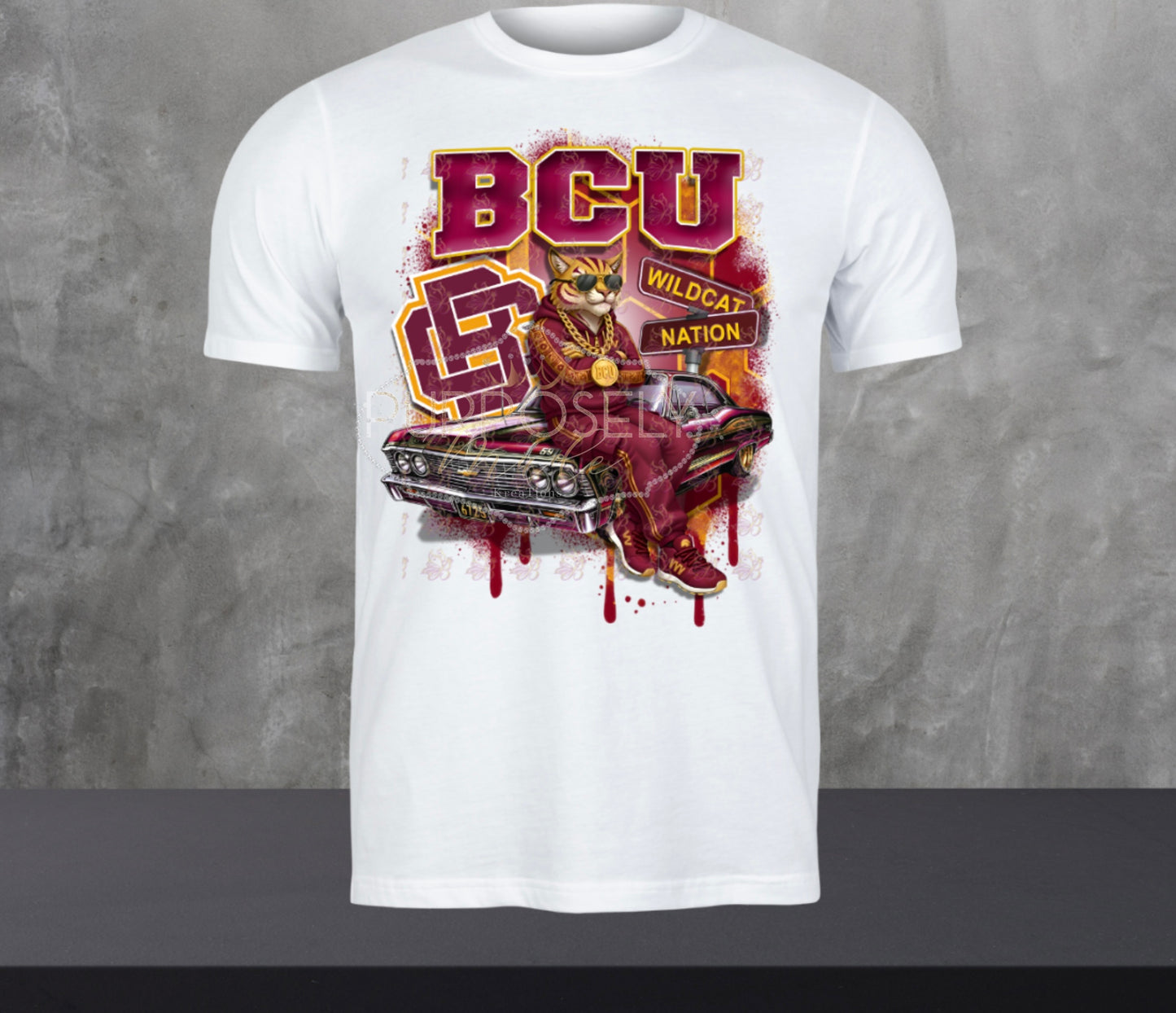 HBCU, wildcat, BCU him