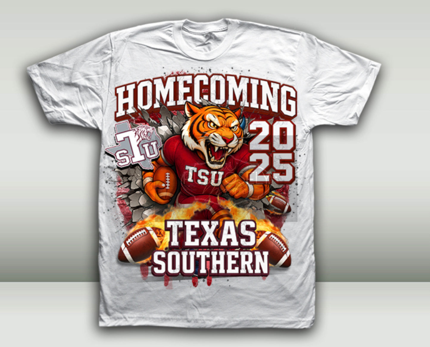 HBCU, Texas southern tigers, homecoming, TSU