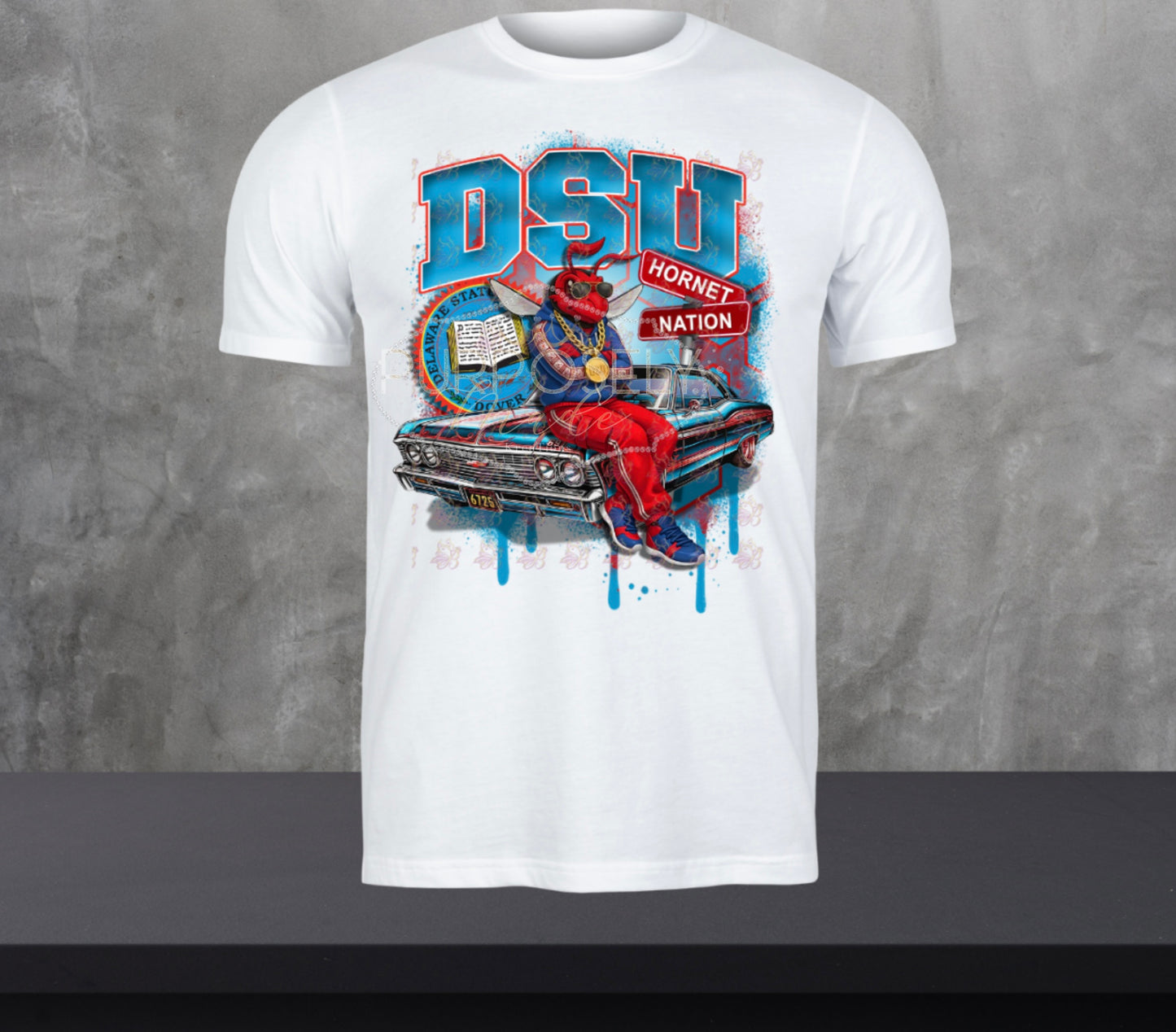 Delaware State, dsu him