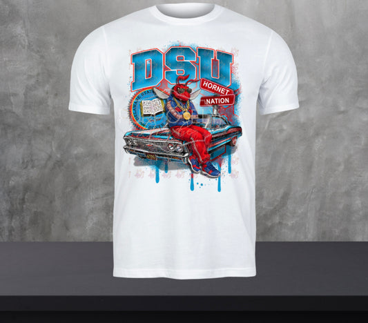 Delaware State, dsu him