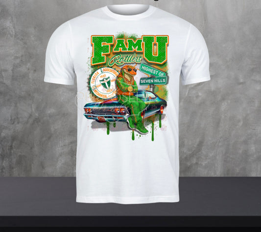 HBCU, FAMU, Florida A&M University, FAMU him