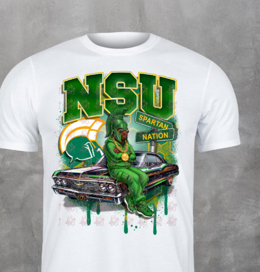 HBCU, Norfolk homecoming, Norfolk State University Shirt | Spartan Pride Apparel him