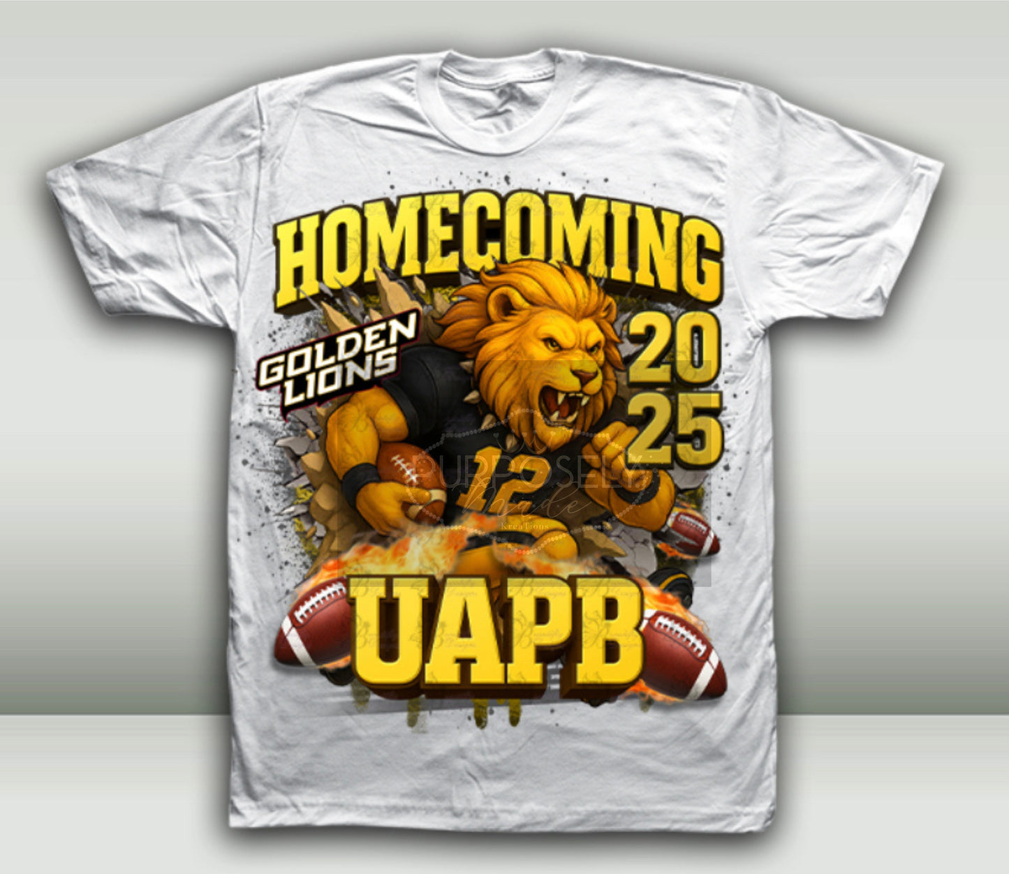 HBCU, University of Arkansas pine bluff , UAPB homecoming