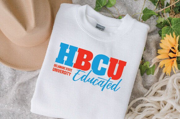 Sweatshirt HBCU, Delaware state