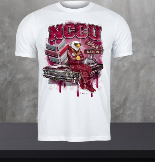 HBCU, North Carolina Central University, Eagle, NCCU HIM