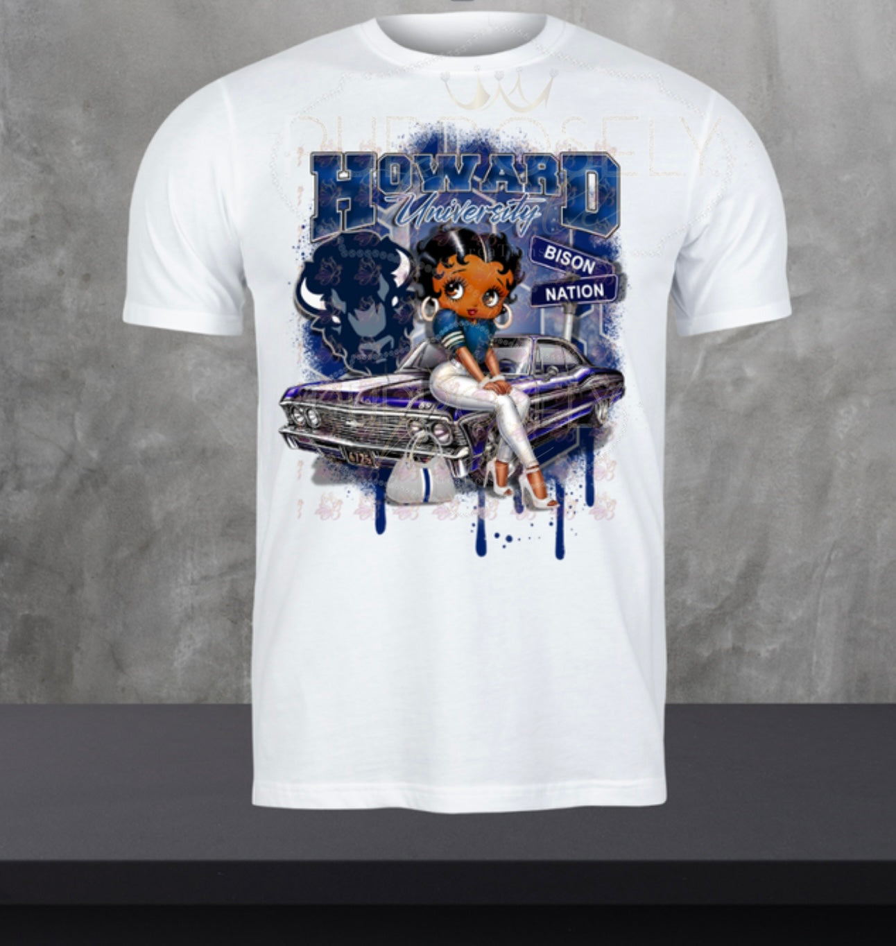 HBCU, Howard University her