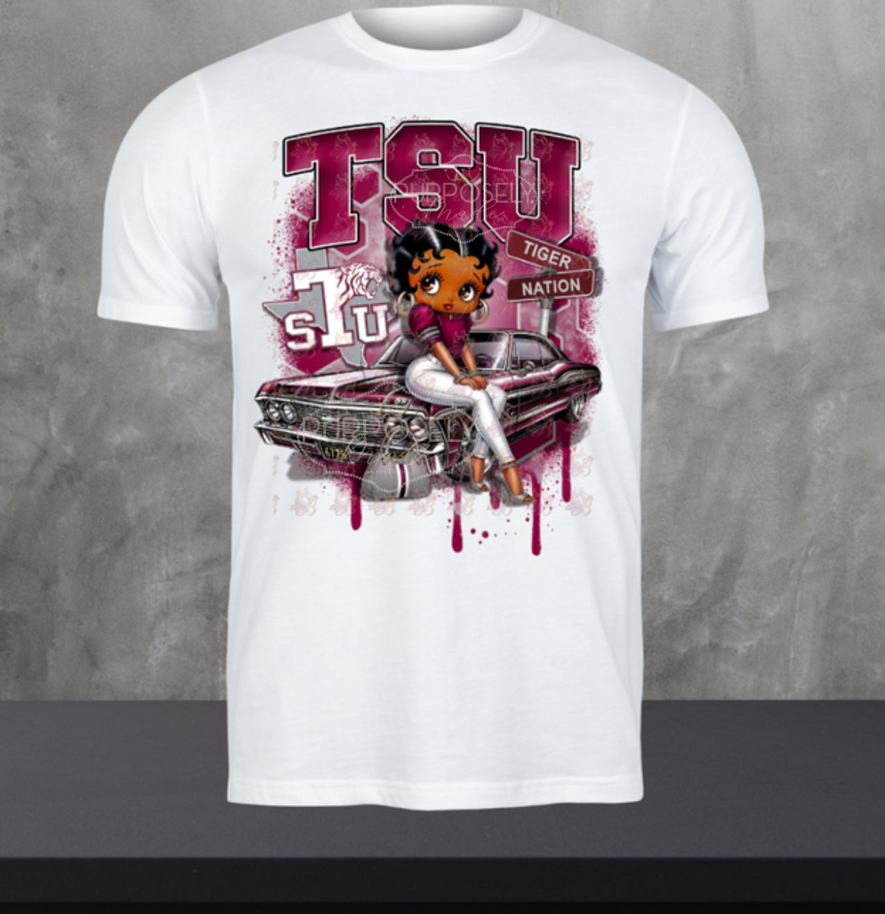 HBCU, Texas southern tigers, her, TSU