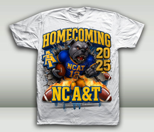 HBCU, North Carolina A&T , NC A&T homecoming