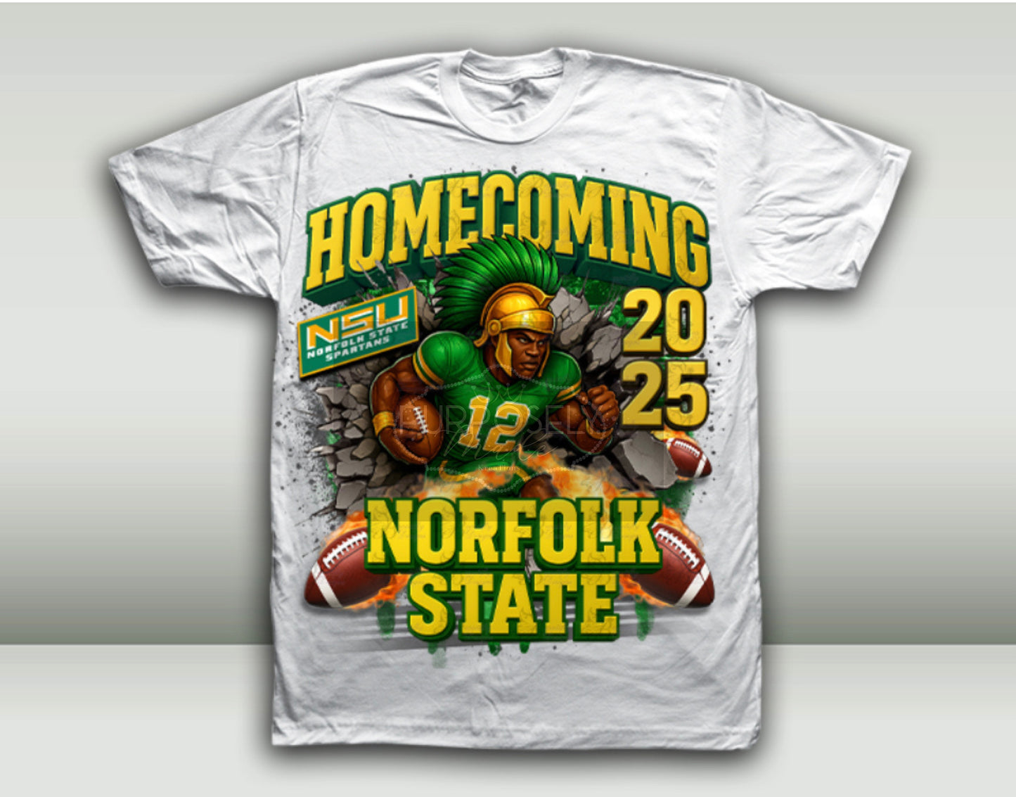 HBCU, Norfolk homecoming, Norfolk State University Shirt | HBCU Spartan Pride Apparel