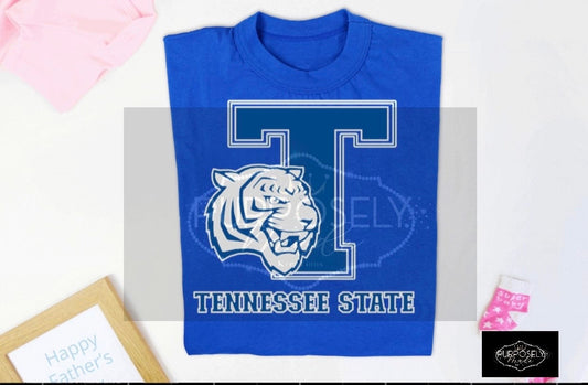 TSU tigers, HBCU vibes, Tennessee state university