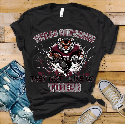 HBCU, Texas southern tigers