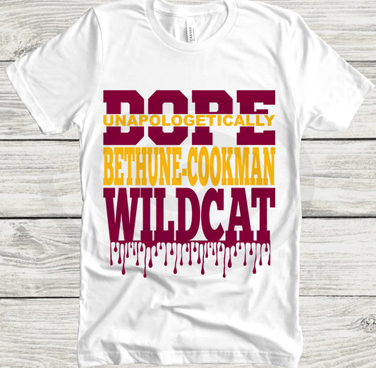 HBCU, Bethune Cookman, wildcat